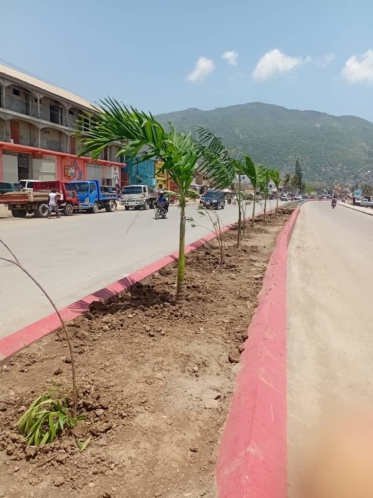 New palms planted along the red curb — Cap-Haïtien breathing again.
