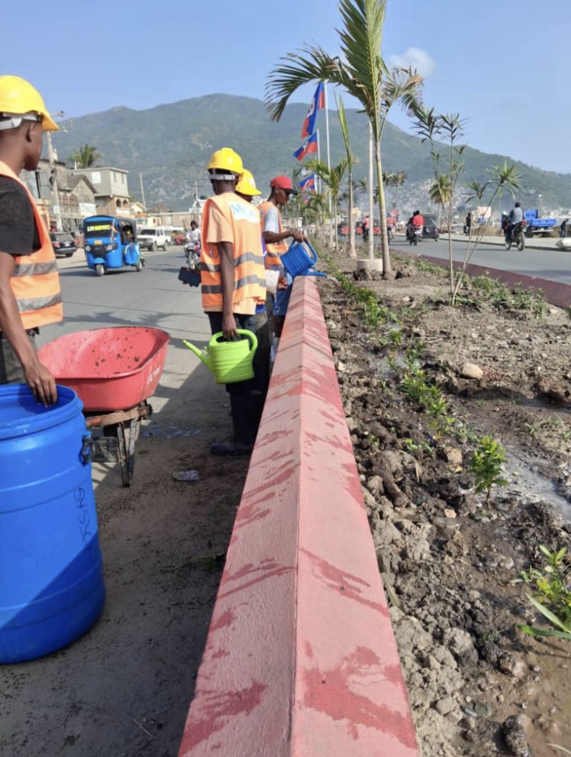 Watering fresh plantings along the red curb — daily crew work.